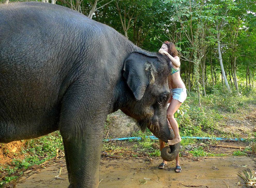 Фотография: Как научиться мыть слона №15 - BigPicture.ru