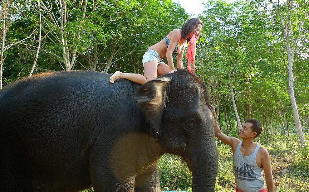 Фотография: Как научиться мыть слона №17 - BigPicture.ru