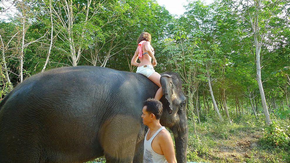 Фотография: Как научиться мыть слона №18 - BigPicture.ru