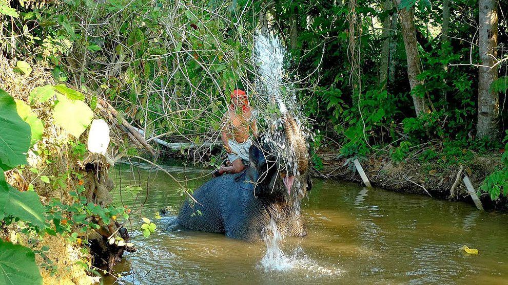 Фотография: Как научиться мыть слона №35 - BigPicture.ru