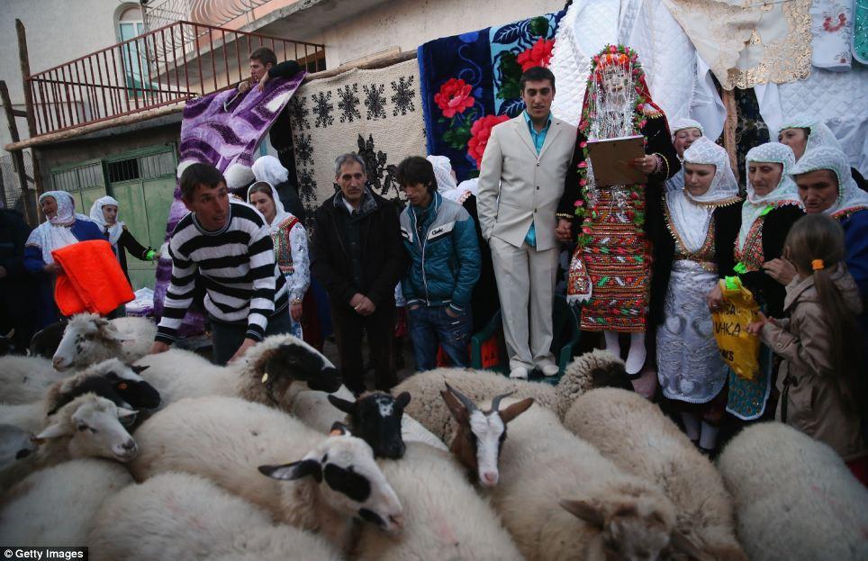 Фотография: Как проходят свадьбы болгарских мусульманских горцев №5 - BigPicture.ru