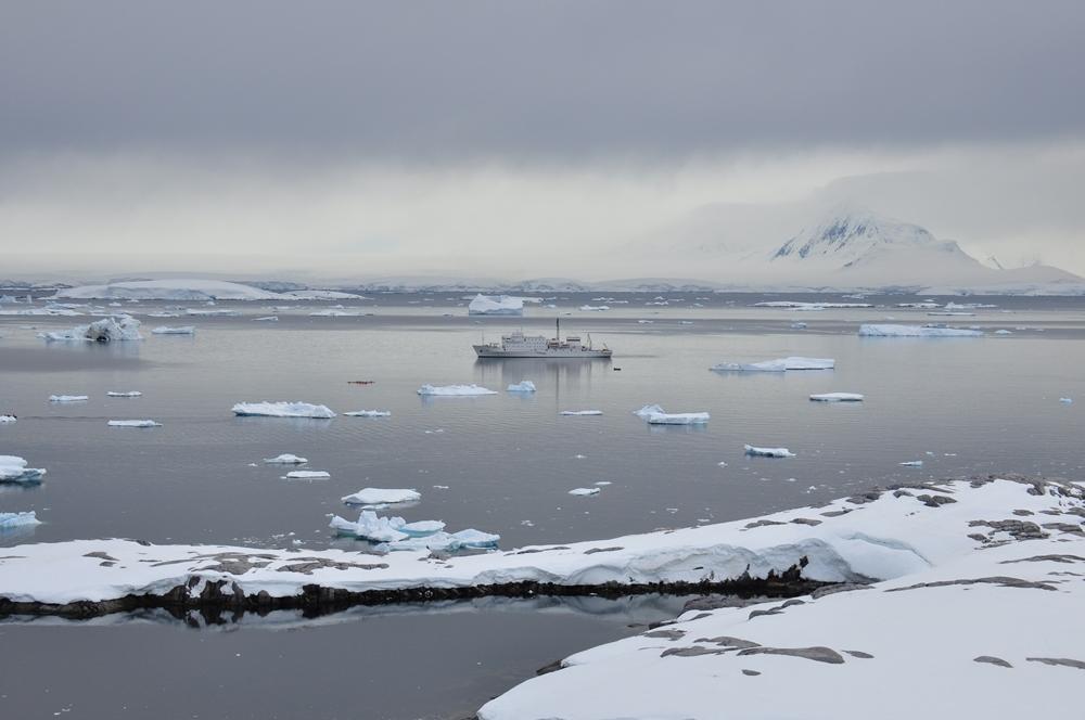 Фотография: Антарктида: Остров Booth, бухта Port Charcot №11 - BigPicture.ru