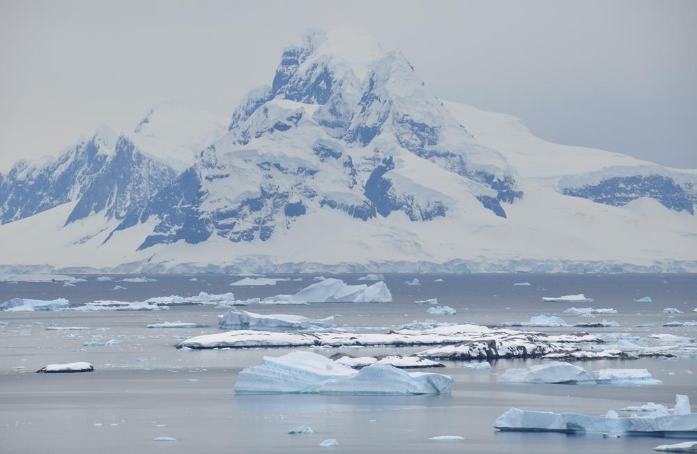 Фотография: Антарктида: Остров Booth, бухта Port Charcot №13 - BigPicture.ru