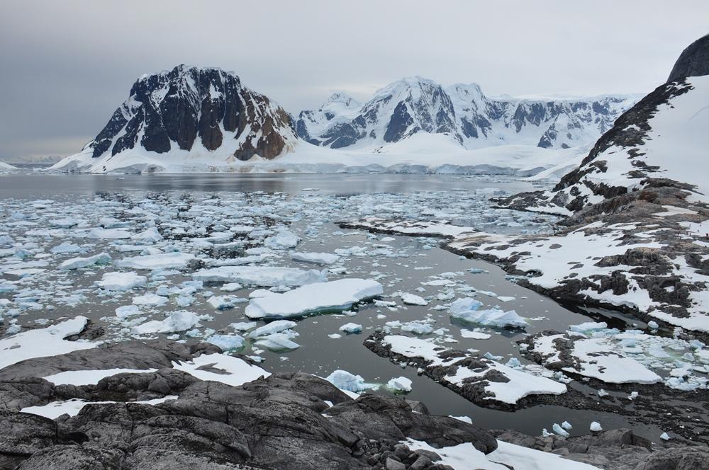 Фотография: Антарктида: Остров Booth, бухта Port Charcot №14 - BigPicture.ru