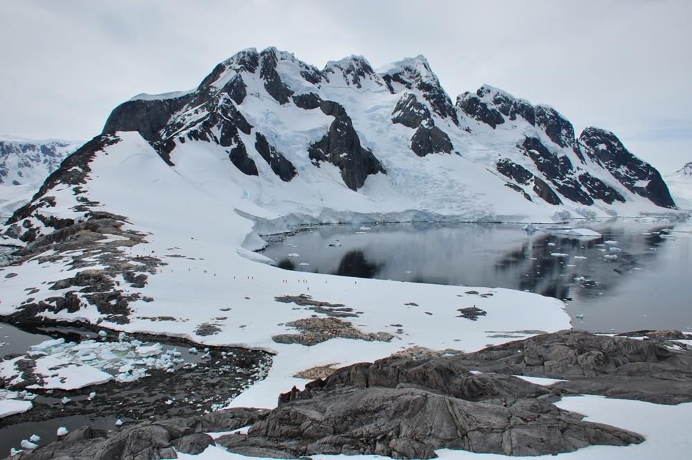 Фотография: Антарктида: Остров Booth, бухта Port Charcot №15 - BigPicture.ru