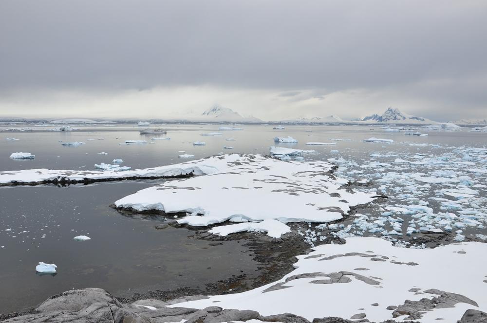 Фотография: Антарктида: Остров Booth, бухта Port Charcot №19 - BigPicture.ru
