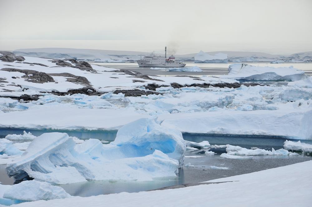 Фотография: Антарктида: Остров Booth, бухта Port Charcot №22 - BigPicture.ru