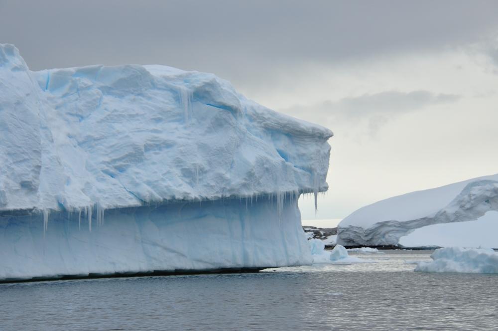 Фотография: Антарктида: Остров Booth, бухта Port Charcot №39 - BigPicture.ru