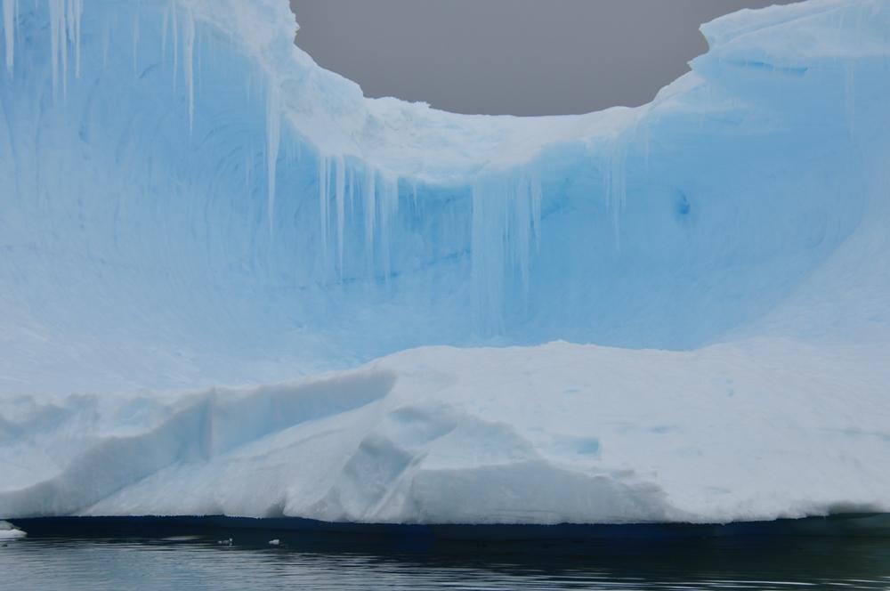 Фотография: Антарктида: Остров Booth, бухта Port Charcot №40 - BigPicture.ru