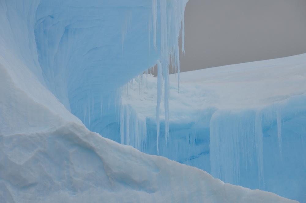 Фотография: Антарктида: Остров Booth, бухта Port Charcot №42 - BigPicture.ru
