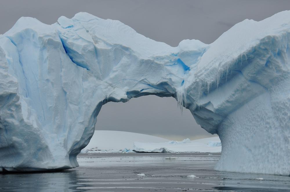Фотография: Антарктида: Остров Booth, бухта Port Charcot №49 - BigPicture.ru