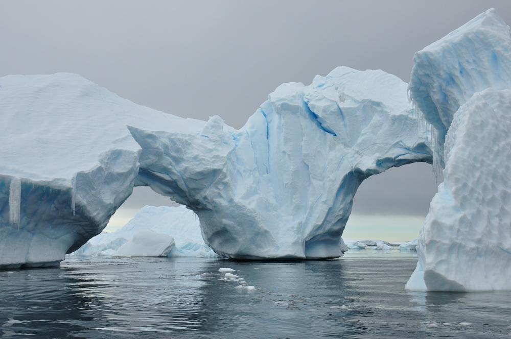 Фотография: Антарктида: Остров Booth, бухта Port Charcot №50 - BigPicture.ru