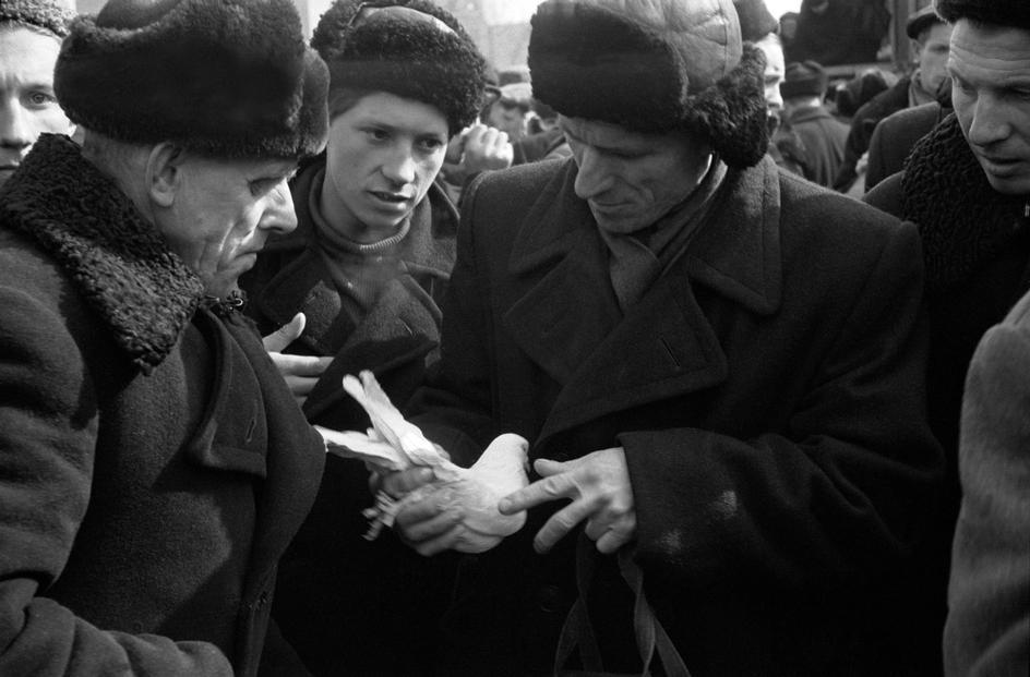 Фотография: Москва 1958 года в фотографиях Эриха Лессинга №21 - BigPicture.ru