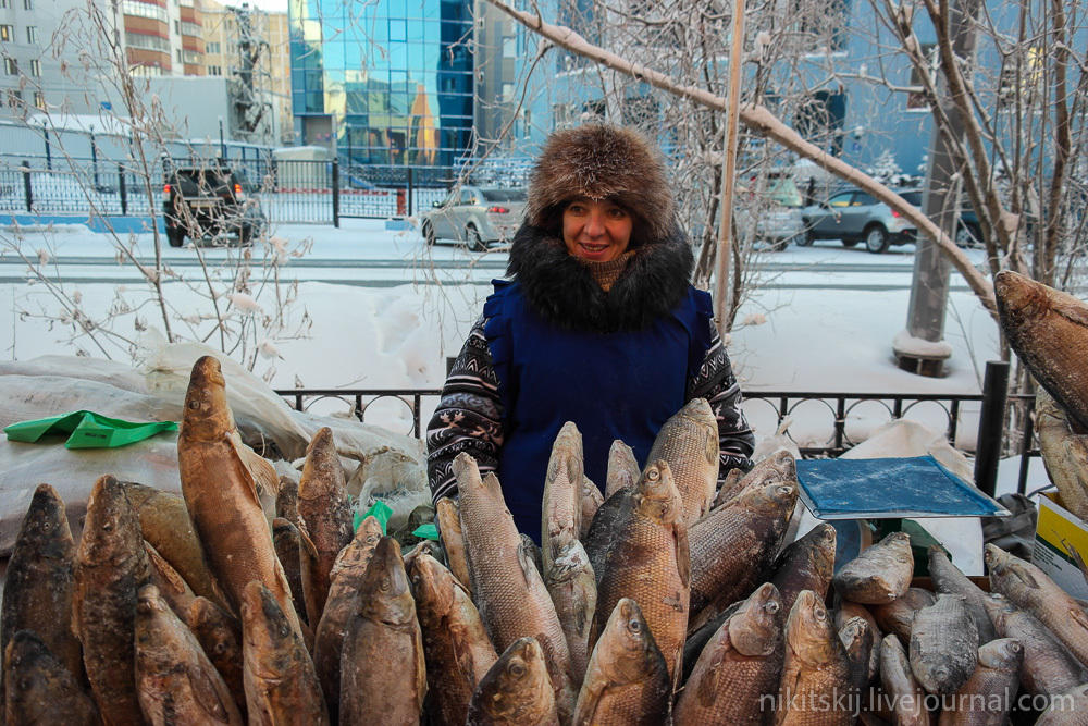 Фотография: Что такое настоящая якутская строганина №5 - BigPicture.ru