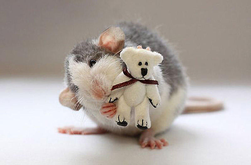 Фотография: Очаровательные крыски с плюшевыми мишками №16 - BigPicture.ru