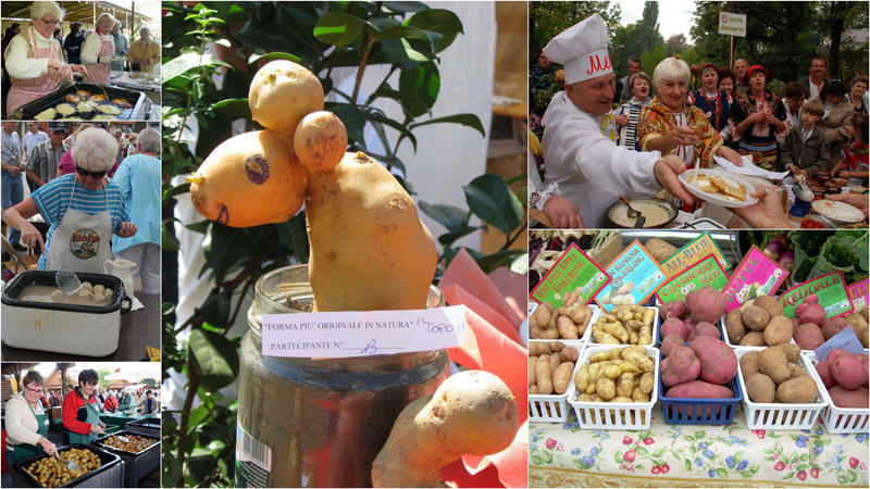 Фотография: Всемирная любовь к картофелю №1 - BigPicture.ru
