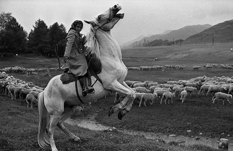 Фотография: Фотограф Владимир Соколаев: 