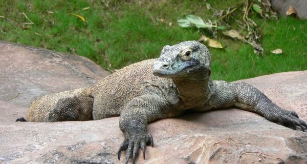 30 фактов, про которые вы наверняка не знали