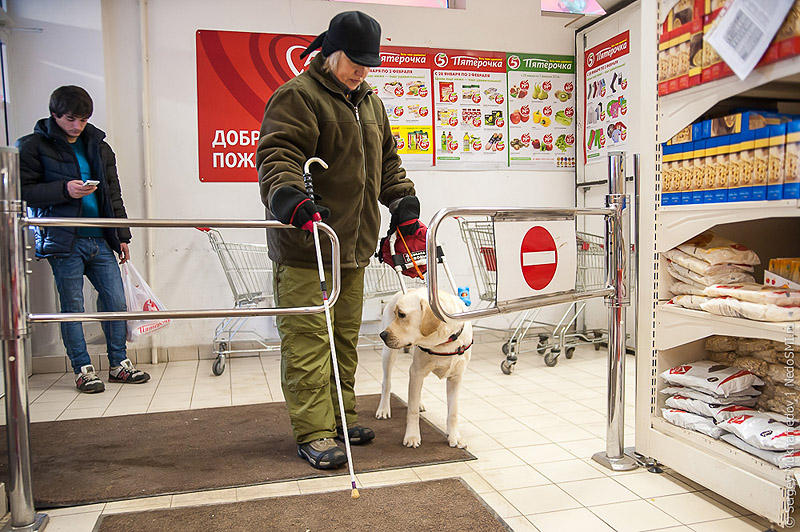 Фотография: Золотые собаки №20 - BigPicture.ru