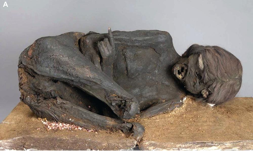 Фотография: Инкские мумии принесенных в жертву детей и женщин №12 - BigPicture.ru