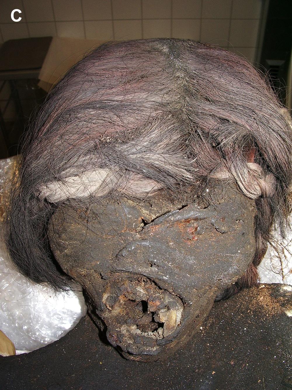 Фотография: Инкские мумии принесенных в жертву детей и женщин №15 - BigPicture.ru