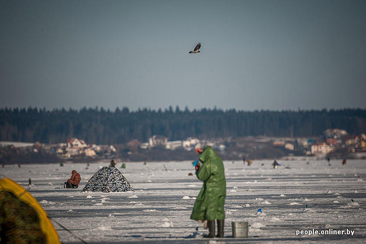 Фотография: Тест на настоящего мужика: репортаж с зимней рыбалки на Минском море №32 - BigPicture.ru