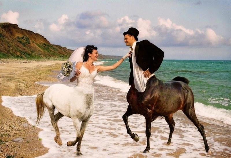 Фотография: Как НЕ надо снимать свадьбу - фотогид из России №2 - BigPicture.ru