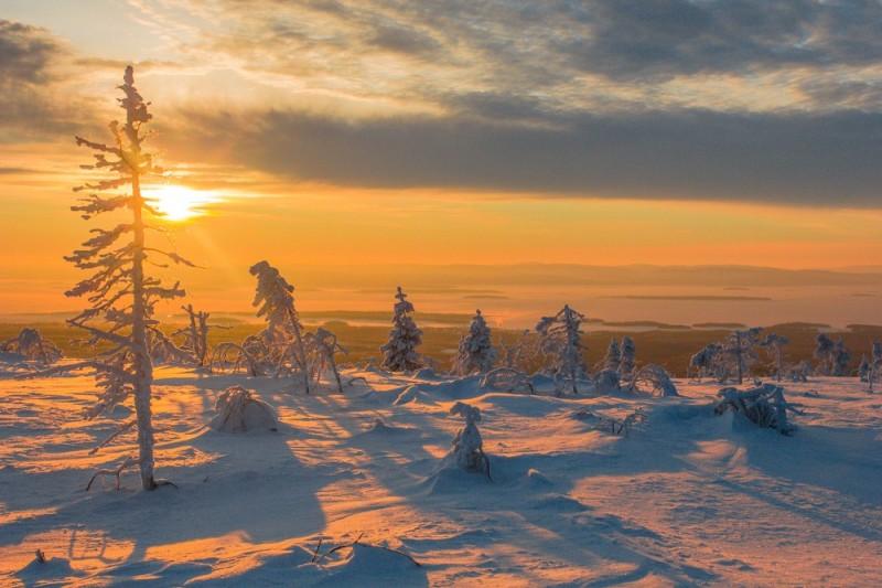 Тундра россии зимой фото