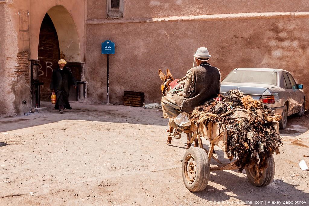 Фотография: Марокко: Как изготавливают натуральную кожу. Кожевенное производство в Марракеше №3 - BigPicture.ru