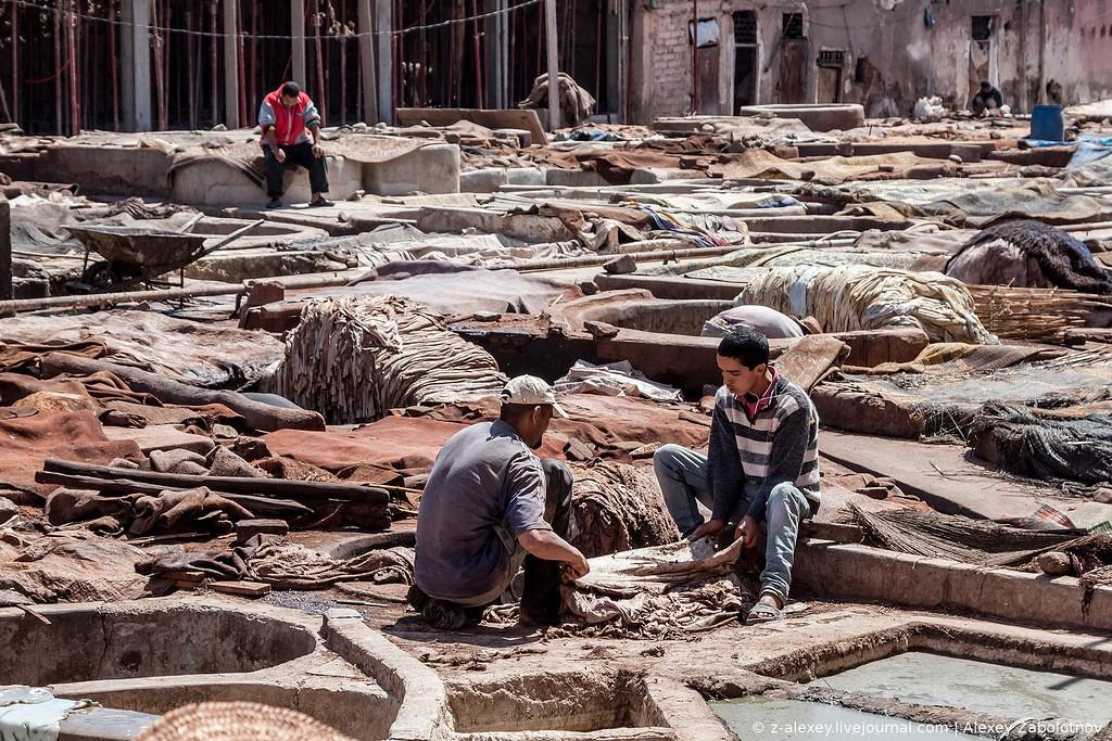Фотография: Марокко: Как изготавливают натуральную кожу. Кожевенное производство в Марракеше №15 - BigPicture.ru
