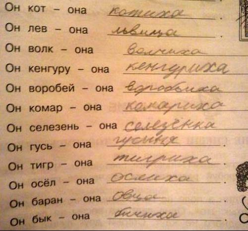 Фотография: 20 детских перлов в записках №7 - BigPicture.ru