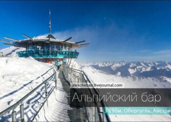 Что пьют горные козлы?