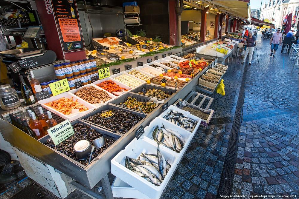 Фотография: Устрицы по три копейки или рыбный рынок на берегу Ла-Манша №2 - BigPicture.ru