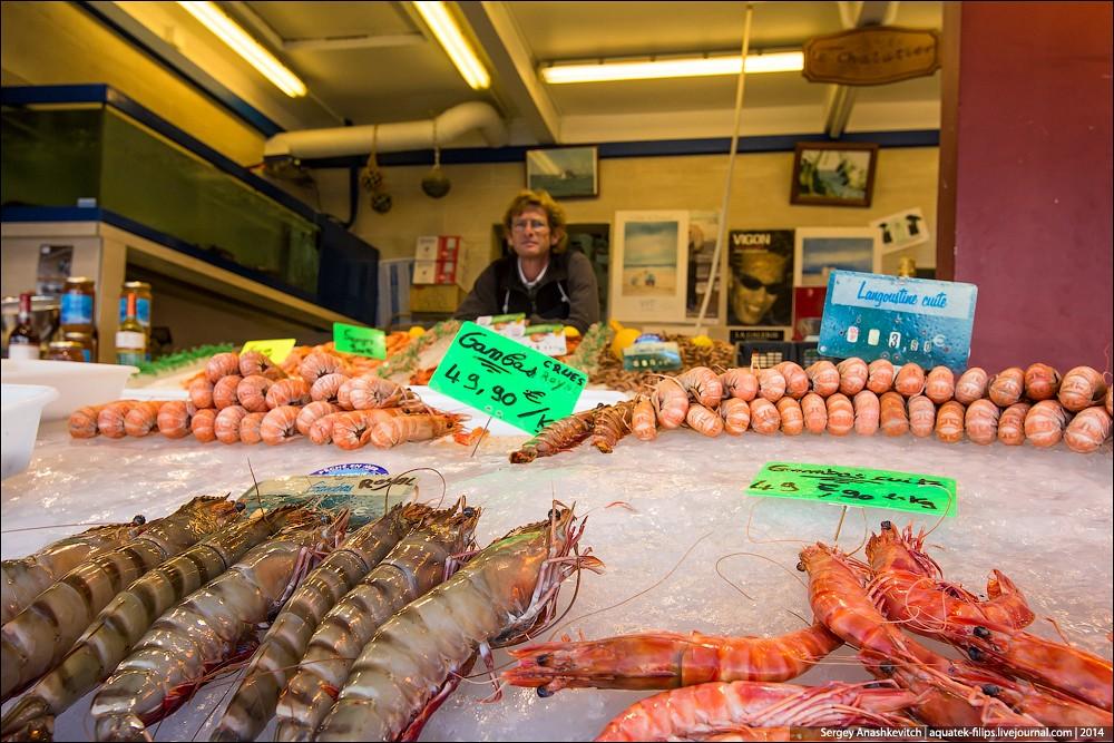 Фотография: Устрицы по три копейки или рыбный рынок на берегу Ла-Манша №3 - BigPicture.ru