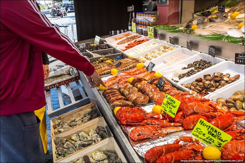 Фотография: Устрицы по три копейки или рыбный рынок на берегу Ла-Манша №20 - BigPicture.ru