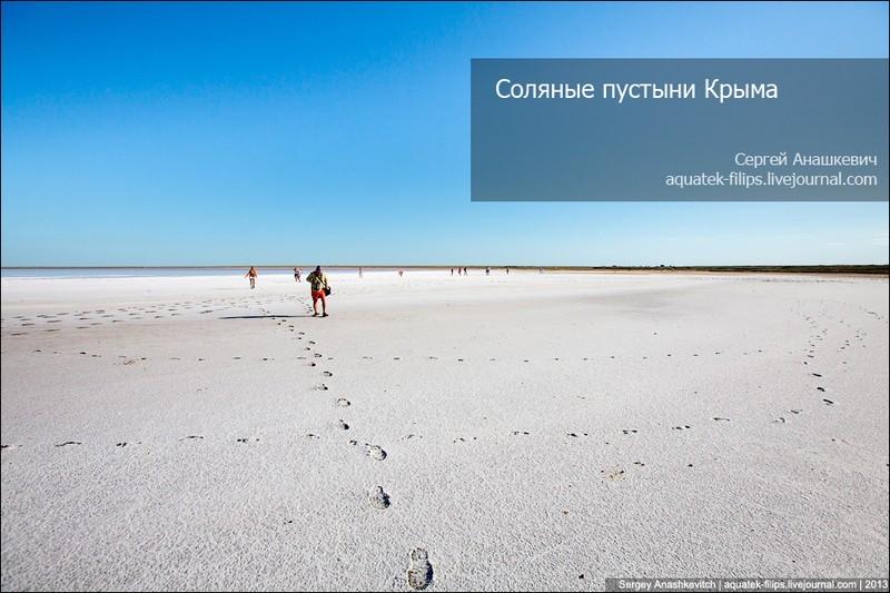 Фотография: Соляные пустыни Крыма №1 - BigPicture.ru