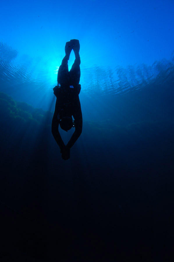 Фотография: Подводные фотографии Вячеслава Плотникова №19 - BigPicture.ru