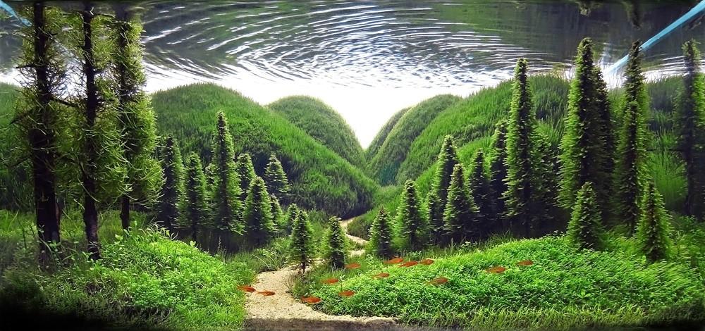 Фотография: Искусство аквариумистики — удивительные подводные пейзажи №4 - BigPicture.ru