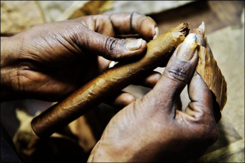 Фотография: Как делают лучшие кубинские сигары №11 - BigPicture.ru