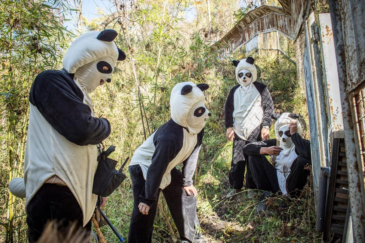Фотография: Как выращивают панд в провинции Сычуань №10 - BigPicture.ru