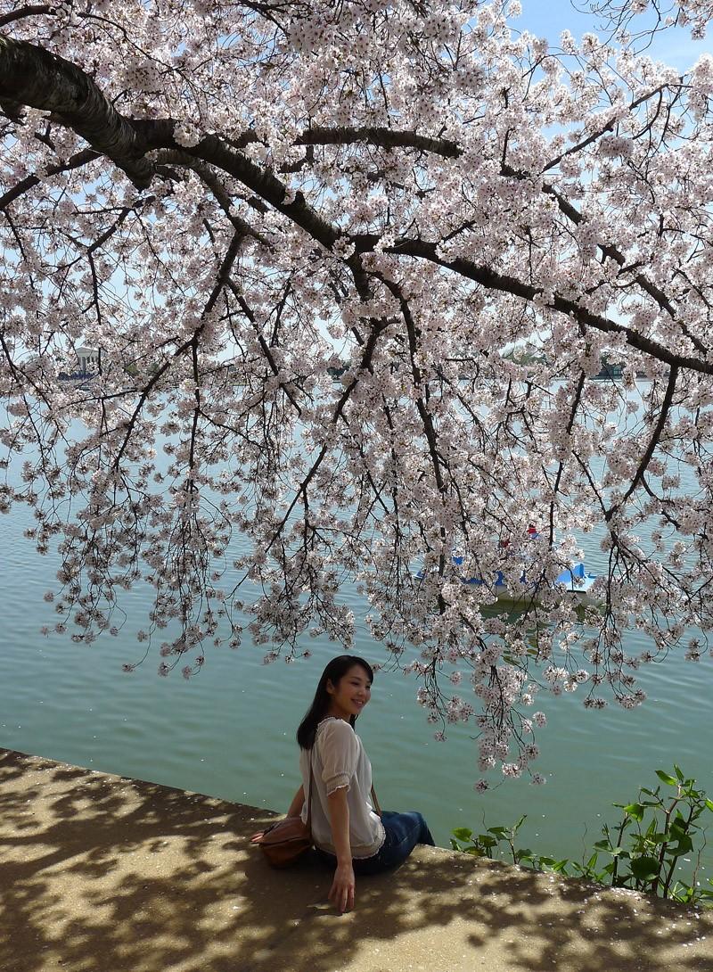 Фотография: Фестиваль цветения сакуры в Вашингтоне №20 - BigPicture.ru