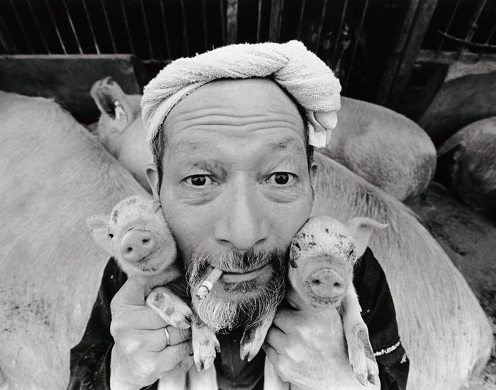 Фотография: Счастливый свиновод и его питомцы №1 - BigPicture.ru