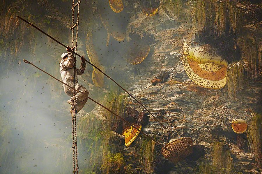 Фотография: Непальские охотники за медом №7 - BigPicture.ru