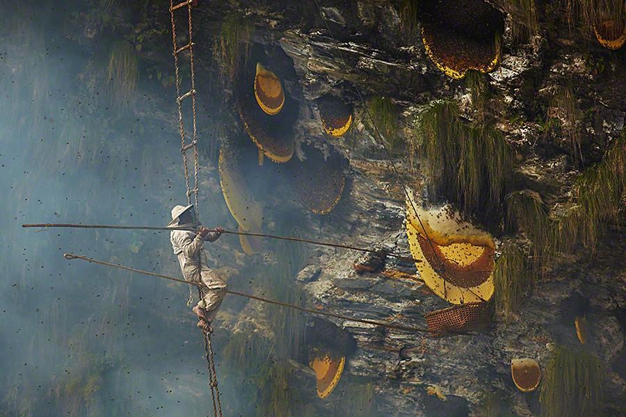 Фотография: Непальские охотники за медом №8 - BigPicture.ru