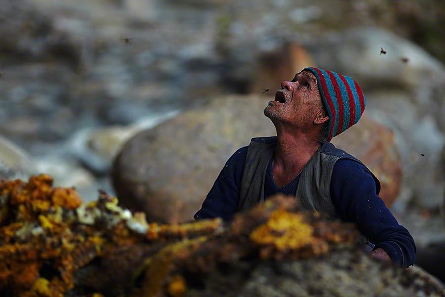 Фотография: Непальские охотники за медом №18 - BigPicture.ru
