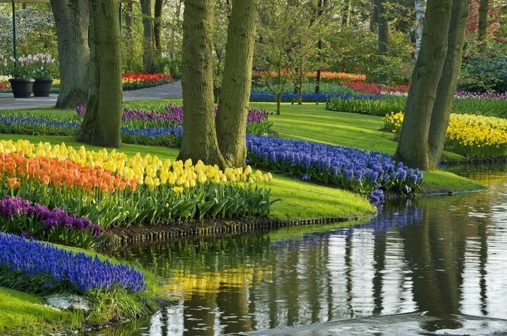 Фотография: Самые красивые цветочные плантации и парки мира №4 - BigPicture.ru