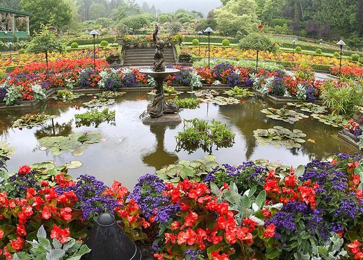 Фотография: Самые красивые цветочные плантации и парки мира №6 - BigPicture.ru