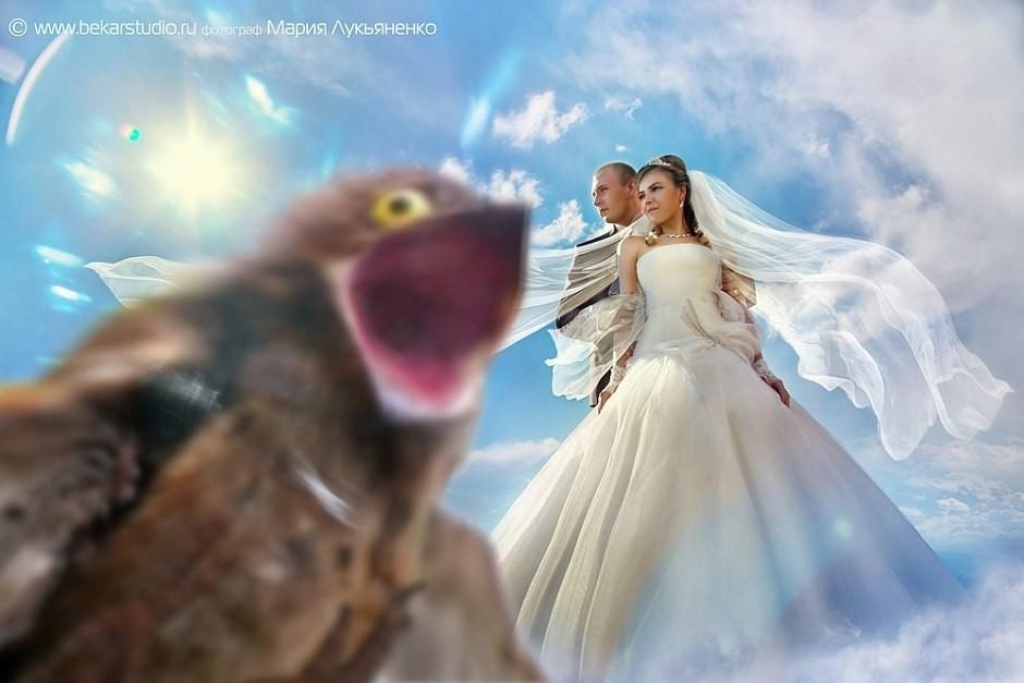 Фотография: Какие фото не надо делать на свадьбе №7 - BigPicture.ru