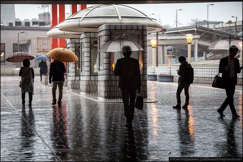 Фотография: Токио, город зонтиков №1 - BigPicture.ru