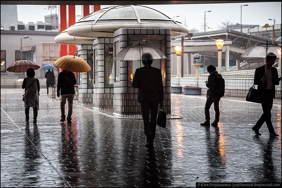 Фотография: Токио, город зонтиков №2 - BigPicture.ru